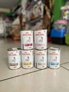 Comida para perros Royal Canin