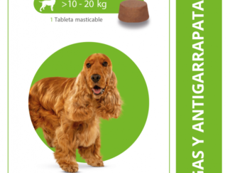 Antiparasitario perros Bravecto 10-20 kg